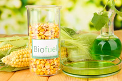 Roughway biofuel availability
